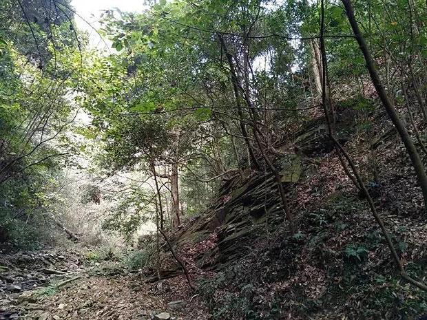江西考湖北本科分数线-专业有问必答平台,解决你的疑问问题