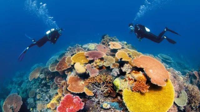 牛油果绿显白又显气质这款颜色的连衣裙你喜欢吗？